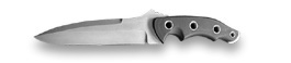 Argonaut